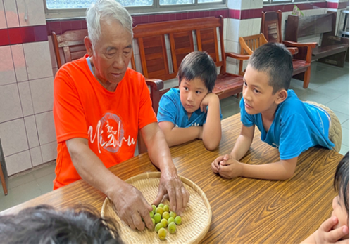 文化課程-醃脆梅